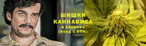 ECSTASY Костерёво