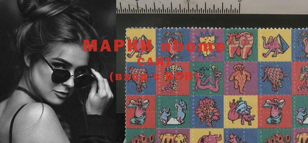 стафф Коряжма