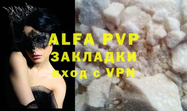стафф Коряжма