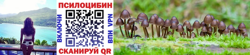 Купить закладки  Белебей  Галлюциногенные грибы мицелий 